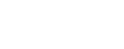 Holly & Co | Case Study