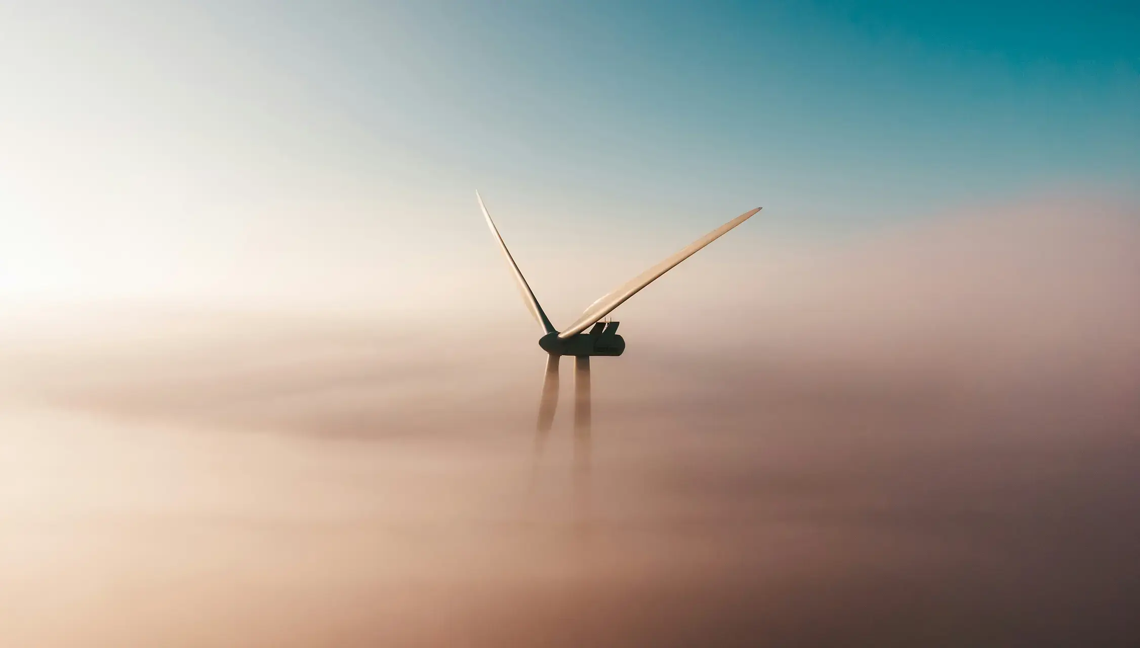 Low Carbon Contracts Company | Case Study